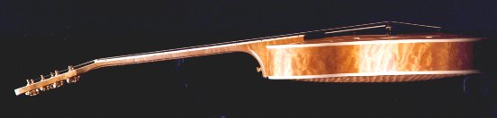 sideview of Foster A T 5